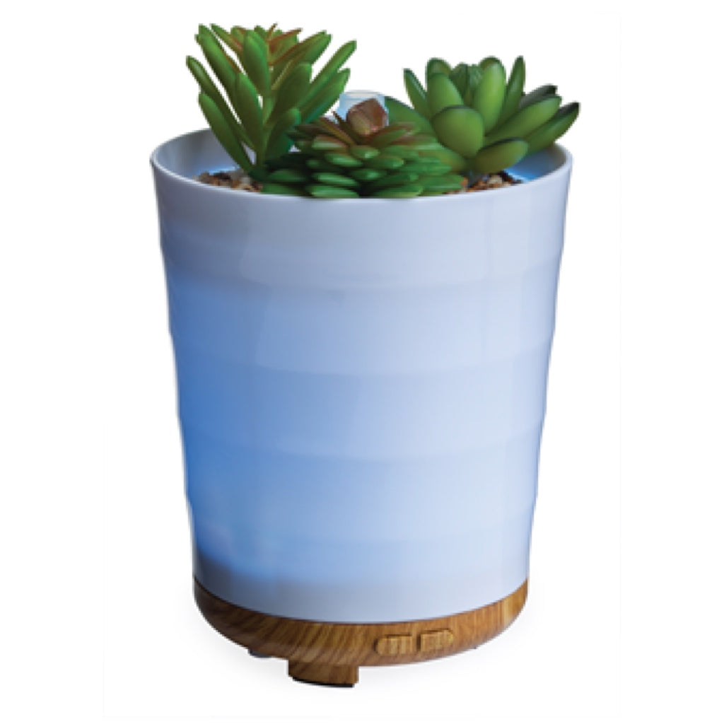 Airome Potted Succulent Essential Oil Diffuser