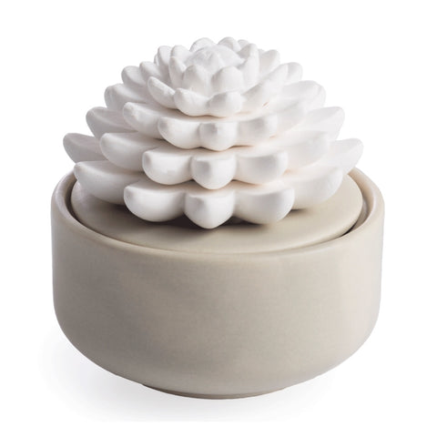 Airome Succulent Porcelain Essential Oil Diffuser