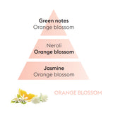 Lampe Berger Orange Blossom Fragrance Oil 500 ml