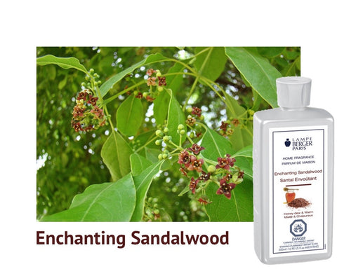 Lampe Berger Enchanting Sandalwood